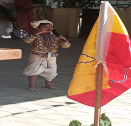 JVPS Kannada Rajyotsava