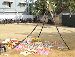 Makara Sankranthi Celebration