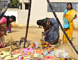 Makara Sankranthi Celebration