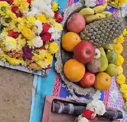 Makara Sankranti Celebration